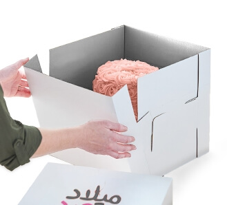 Cake Delivery Box